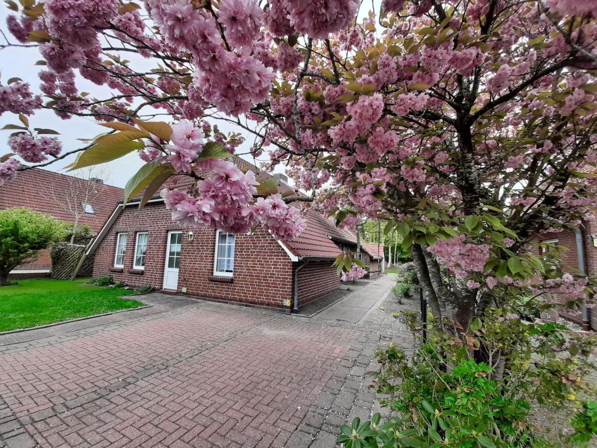 Apartament Flut Norden Zewnętrze zdjęcie